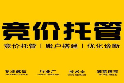 SEM代运营服务公司成功案例解析